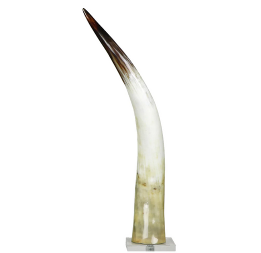 Black and White Cow Horn on Base